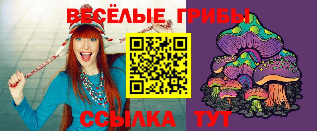 Семилуки  Псилоцибиновые грибы ЛСД  Вход с VPN 