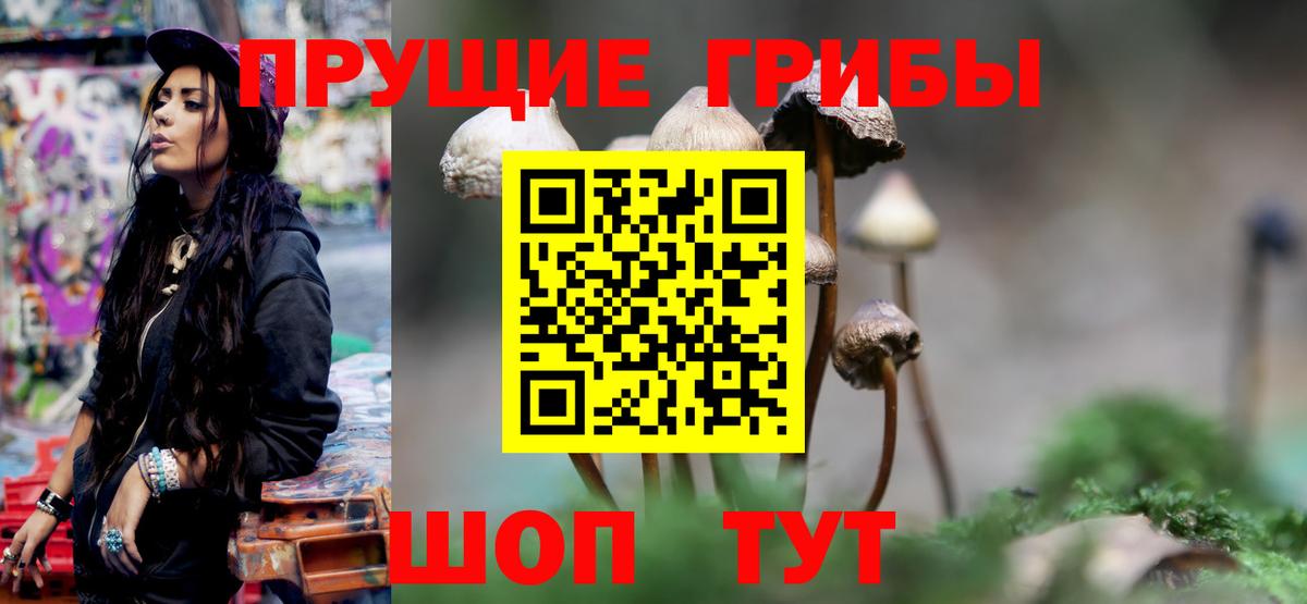 Псилоцибиновые грибы Psilocybe Семилуки